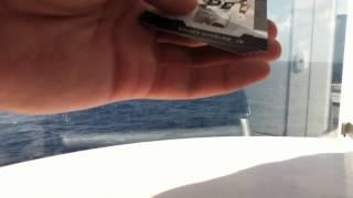 Caribbean Sea pack break