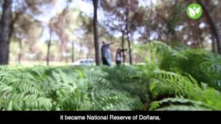 Donana National Park