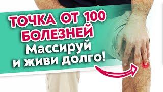 Точка долголетия от ВСЕХ болезней! Как найти Цзу-сань-ли? Точка от 100 болезней