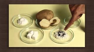 Test for starch | Food chemistry | Chemistry