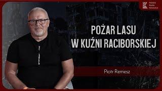 Kroniki Katastrof. Pożar lasu w Kuźni Raciborskiej. Od iskry do ekologicznej katastrofy