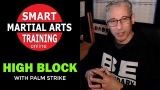 High Block Explained by Master Peter Liciaga