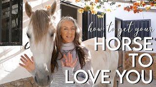 How to get your horse to LOVE YOU