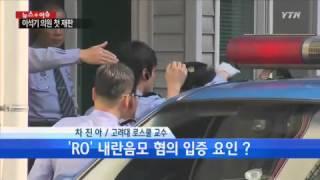'내란음모' 이석기 첫 재판 열려...전망은? [차진아, 고려대 로스쿨 교수] / YTN