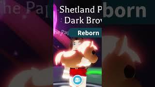 Making a Neon Brown Shetland Pony from Adopt Me Christmas Update #adoptme #roblox #robloxadoptme