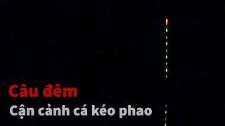 Câu cá l Câu đêm cận cảnh cá kéo phao bềnh l CẦN THỦ ĐẤT CẢNG