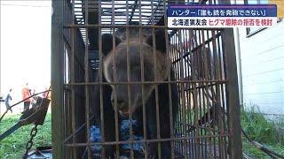 北海道猟友会 ヒグマ駆除の拒否を検討　ハンター「誰も銃を発砲できない」【スーパーJチャンネル】(2024年11月14日)