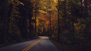 Relaxing Sleep Music for Stress Relief: Rural Road Rain • Healing Sleep Music 10 Hours