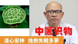 蓮子的功效與作用【保健養生】生生不息