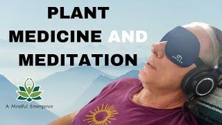 Plant Medicine and Meditation
