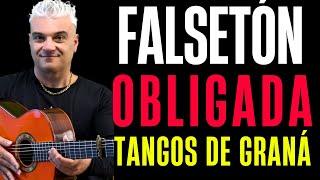 FALSETA OBLIGADA POR TANGOS DE GRANADA ESPECTACULAR TUTORIAL GUITARRA FLAMENCA