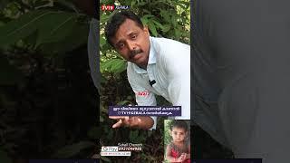 ഇന്നും ദിയമോളെ കാത്തിരിക്കുകയാണ് ഇവർ.....Diya Fathima Missing news Kerala,Kannur news