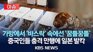 [이슈] 보호종 '소라게' 5천 마리 밀반출 하려다 적발된 중국인…일본 섬 '발칵'/2025년 6월 21일(토)/KBS