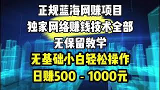 老王正规蓝海网赚项目全网收学员独家网络赚钱技术全部无保留教学包教包会，无基础小白轻松操作！