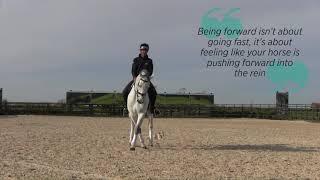 Improve your flatwork with Mark Todd | Horse&Rider and Land Rover