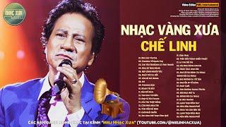 Album Đưa Em Vào Hạ - Nhạc vàng hải ngoại CHẾ LINH nghe quá đỉnh - TOÀN BÀI HAY