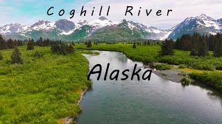 Catch Salmon and Explore Alaska's Coghill River in Prince William Sound