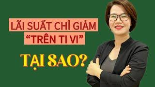 Lãi suất chỉ giảm trên ti vi? Tại sao? | Đoàn Dung