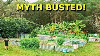 How to Grow a THRIVING Food Garden Surrounded by BIG TREES