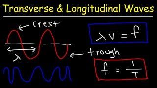 Transverse and Longitudinal Waves