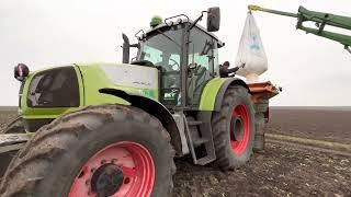 Трактор CLAAS Ares + Amazone ZA-M. Підгодовуєм бідні посіви ріпаку #amazone #claas #хтз