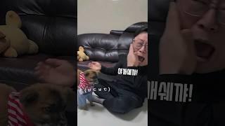 개랑 맞짱뜨는 아빠ㅋㅋㅋ (캐미무엇ㅋㅋㅋ웃겨죽음)