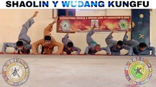 Shaolin y wudang kungfu training