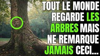 Les arbres PARLENT ! Lorsque vous passerez près d'un arbre, REMARQUEZ ces détails...