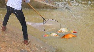 Full Day Fishing In Flood Season 2024 Catch Lot Of Fish#P1040956