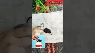 Chocolate duck  Hack  | 5 minute crafts !! #short #ashortaday #ytshort