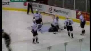 Ducks@Wild