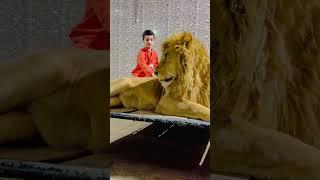 My brave son with big lion |mian subhan | mian saqib |