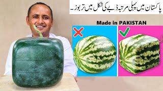 Square Watermelons Pakistan | Square Watermelon Farming | Mubashir Saddique | Village Food Secrets