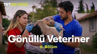 Gönüllü Veteriner | 6. Bölüm | TRT Belgesel