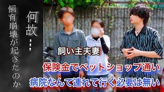 母親の保険金でペットショップ通い…飼育崩壊の最悪すぎる真相