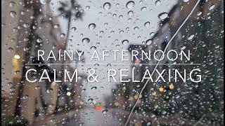 Rainstorm Sound | Natural Calm Relaxing Gentle | Sleep Focus | 5 HRS