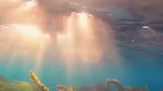 Relaxing sunrays under seawater | Peaceful underwater sounds for deep sleep | relaxing nature sounds