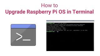 터미널에서 Raspberry Pi를 업그레이드하는 방법