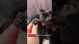 Сверкающая брошь в поисках хозяйки🫣 #украшенияручнойработы #творчество #броши #brooch #брошьизбисера