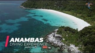 Anambas Diving Experience