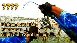 Mancing Di Rumpon Merah Putih Masdi,,,Spot Markas Ikan Babon...!!! #mancing_semarang #mancingmania