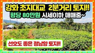 초지대교 2분거리 ~  정남향 토지  , 평당 80만원~  주변시세보다 저렴한 토지 매물입니다...