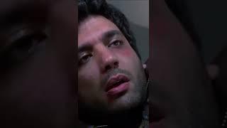 انت كلب ولا تسوي