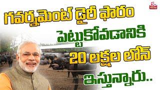 Dairy Farm Subsidy Loan Process Complete details in telugu | GVS | SumanTV Money