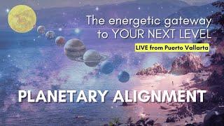 Manifest Your Dreams with the January 25th Energy Portal | Retreat with Djali Energy