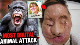 The HORRIFYING Moments Before chimp DESTROYED Charla Nash's FACE