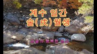 십간론 90  계수 일간 술(戌)월생 - 피클의 행복한 명리