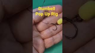 Simple Dumbell Pop Up Rig