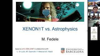 Theoretical interpretations of the Xenon anomaly - 2nd session