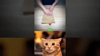 Ohio magic ||Ohio cat reaction #memes #cat #shorts